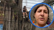 Ambientalista se subió a un árbol para frenar su tala en el centro de Neiva