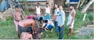 Animal Aid Centre shortage hits livestock farmers hard