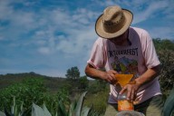 PERSONAJE | Don Isidro, el corazón del pulque en Tarímbaro