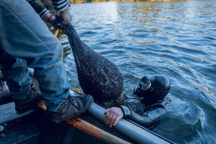 Organizaciones de pesca artesanal pueden postular a fondos para financiar estudios en áreas de manejo