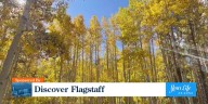 Flagstaff in autumn is a leaf peeper’s paradise!