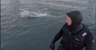 Incredible moment dolphin surprises surfer in the Firth of Forth caught on film