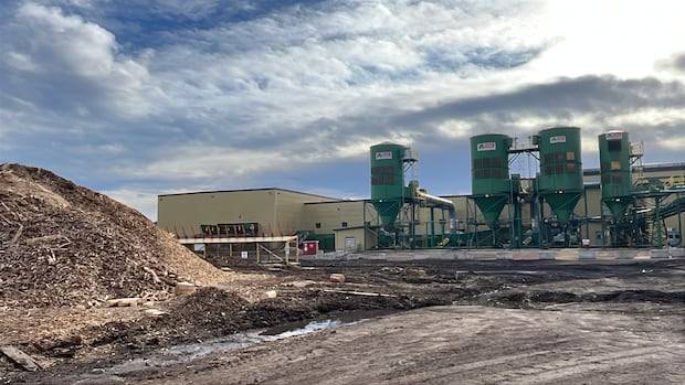 More forestry job cuts as B.C. sawmills around Prince George announce cutbacks