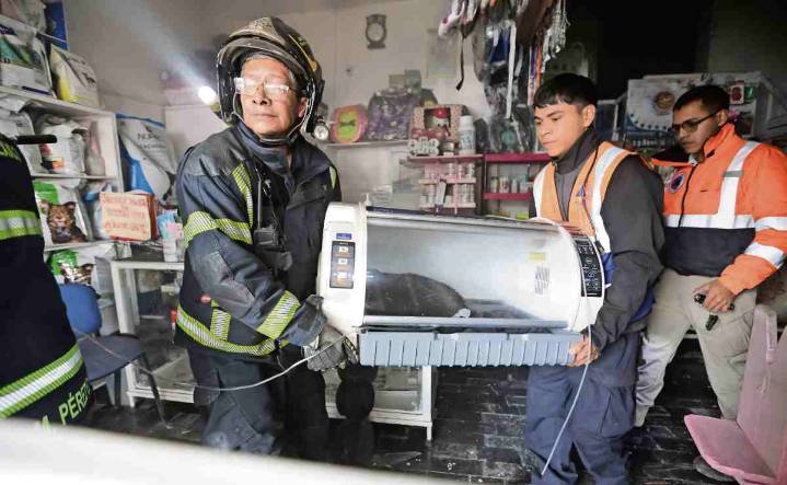 Rescatan a 6 animales de incendio en una veterinaria