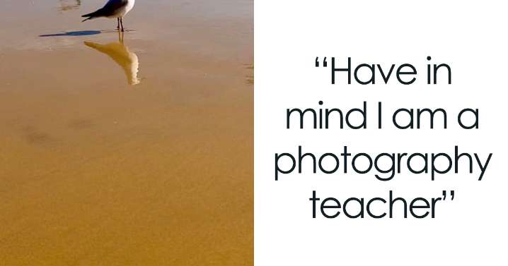 48 Bird Pics That Went Horribly Wrong But Ended Up With Hilarious Results, As Shared On This Facebook Group