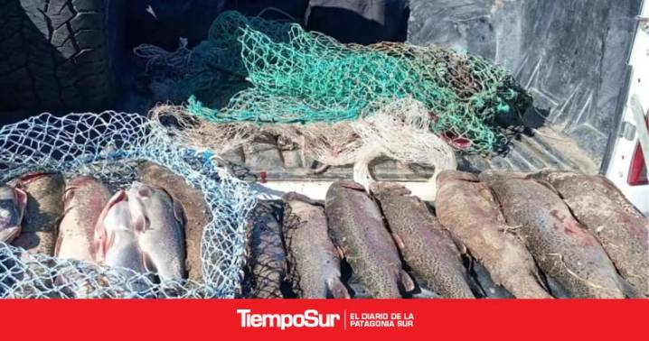 Los Antiguos Decomisan truchas Arco Iris en operativos contra la pesca ilegal en Lago Buenos Aires