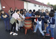 Doscientos escolares se familiarizan con la sidra en Gijón