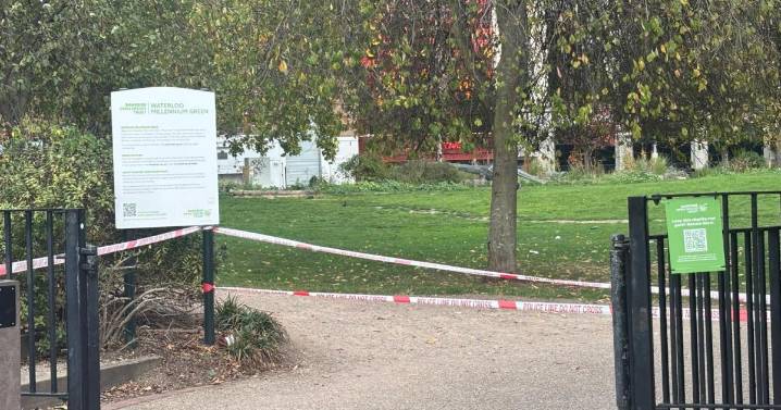 Waterloo Millennium Green 'stabbing': Man in hospital