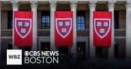 Visiting Harvard professor accused of firing pellet gun near synagogue