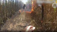 Bodycam captures wild police chase through burning cane field in Mackay region