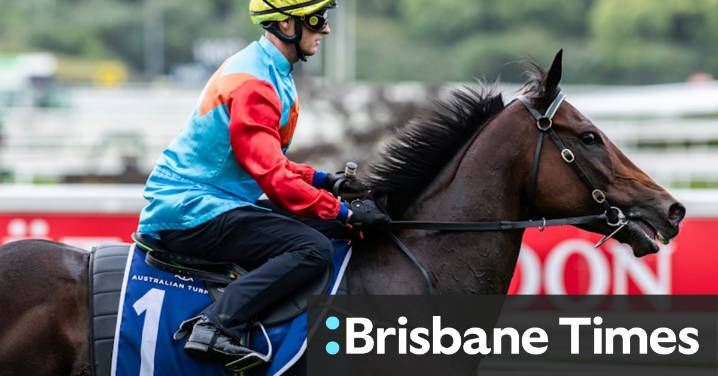 Beadman defends Ka Ying Rising as doubts grow about $20m Everest favourite