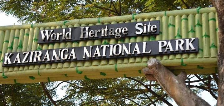 Assam: Toll Plazas in Forest Areas of Kaziranga National Park and Tiger Reserve Barred