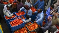 Tomatoes at PKR 700 a kilo: How Pakistan’s border closure with Afghanistan has sparked the massive price surge