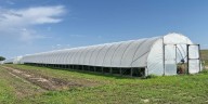 ‘Tunnel farming’ extends growing season by 4 months for a South Dakota farm