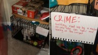Minnesota Woman Returns Home To Find Her Dog “Jailed” With A Note Explaining His Crime