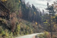 Road to B.C.’s Bamfield reopens after 2 months of closures due to wildfire