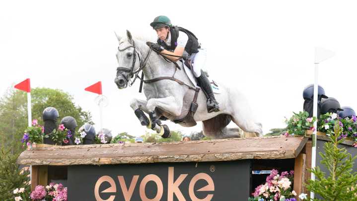 Tributes paid to medal-winning horse Chance Encounter, aged 16 -