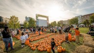 List: What to do in the DC area this week and weekend, through Oct. 26
