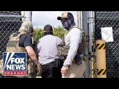Mexican cartels enlist GANGS, extremists for bounties on ICE officials