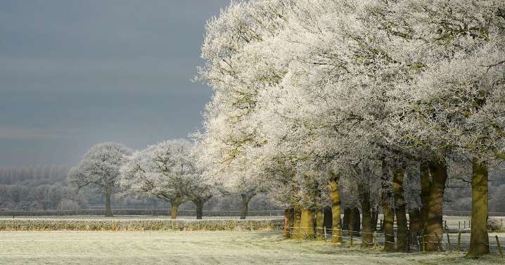 New weather maps show exact date 0C freeze to hit Brits across major cities