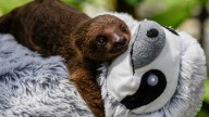 The week’s best photos