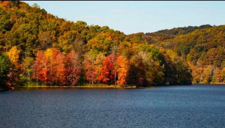 ODNR fall color update places Valley at 'near peak'