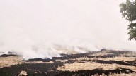 Madhya Pradesh: Special Force To Monitor Sheopur Stubble Burning Using Satellite Images
