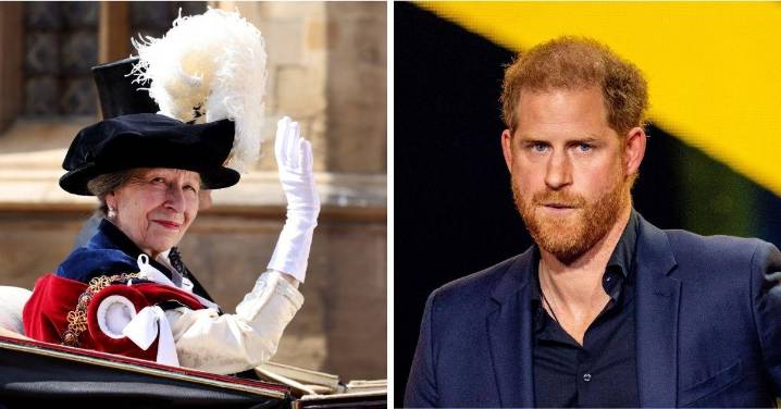Princess Anne Refuses to Help Harry Heal Rift With King Charles