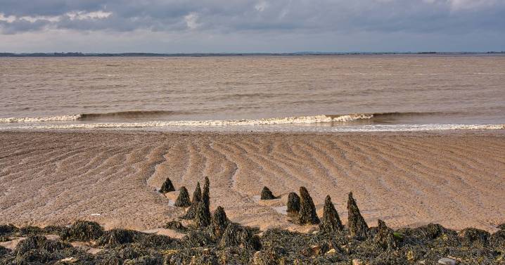 Beach walker picks up 'rock' in sand and is stunned when he learns what it is