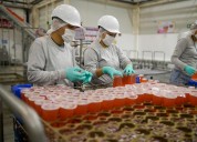 Crea Nuevo León en nueve meses 45 mil 417 empleos