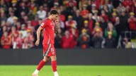 A rat briefly delays World Cup qualifier between Wales and Belgium