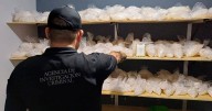 Operativo en Culiacán: decomisan grandes cantidades de metanfetamina