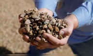 Fall in China's exports of rare earth magnets stokes supply chain fears