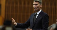 Housing minister won't commit to Liberal election promise to cut development fees