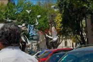 Con una suelta de palomas, el Colegio de Martilleros de Entre Ríos celebró 50 años de vida institucional