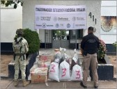 Golpe millonario al narco en Sinaloa