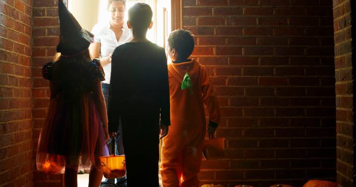 Protecting your pets during trick-or-treating | How you can keep your furry friends safe