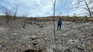 CAR advierte que el 90% de incendios forestales son inducidos por la acción humana en temporada de vientos