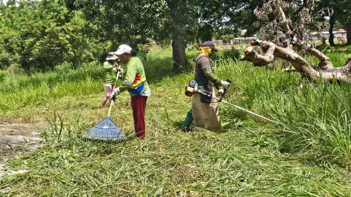 Continúa mantenimiento en los espacios verdes en Maturín