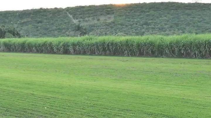 Afectan lluvias al 20% de productores de caña en el Ejido del Hospital