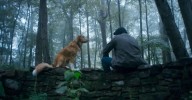 ‘Good Boy’, la película de terror protagonizada por un perro que quiere ser melancólica y reflexiva más allá del meme
