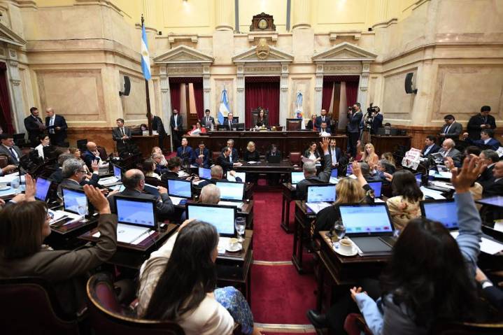 El Senado rechazó los vetos a los proyectos de emergencia en pediatría y financiamiento universitario