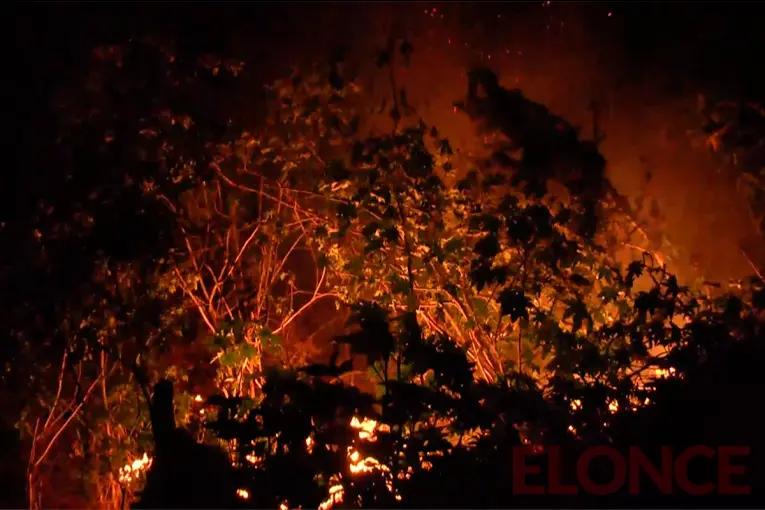 Se produjo un incendio en Parque Varisco: hubo múltiples focos activos