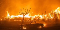 Arrest made in start of deadly California Paliades Fire