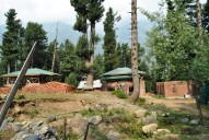 Jammu Kashmir: Over 19,500 Hectares of Forest Land Encroached, Says Govt