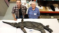 Descubren un espectacular fósil intacto de un ictiosaurio de hace 190 millones de años