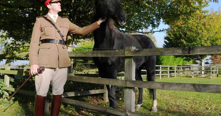 Caballo del ejército británico que galopó por Londres tras asustarse recibe merecida jubilación