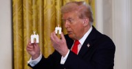 Donald Trump Unveils Another Architectural Project to Billionaire Donors