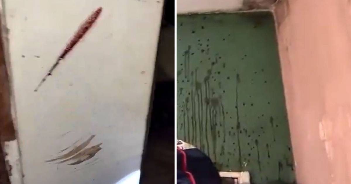 VIDEOS. Nuevas imágenes de la casa del terror, donde se perpetró el triple crimen en Florencio Varela