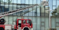 Los Bomberos de Salamanca retiran un avispero en la plaza de la Concordia